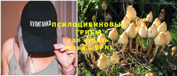 гидропоника Медногорск