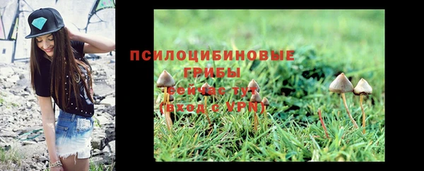 экстази Михайлов