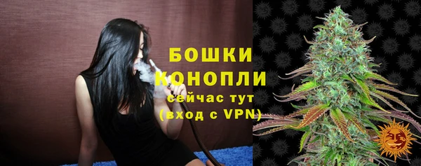 дживик Медвежьегорск