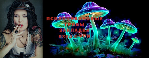 дживик Медвежьегорск